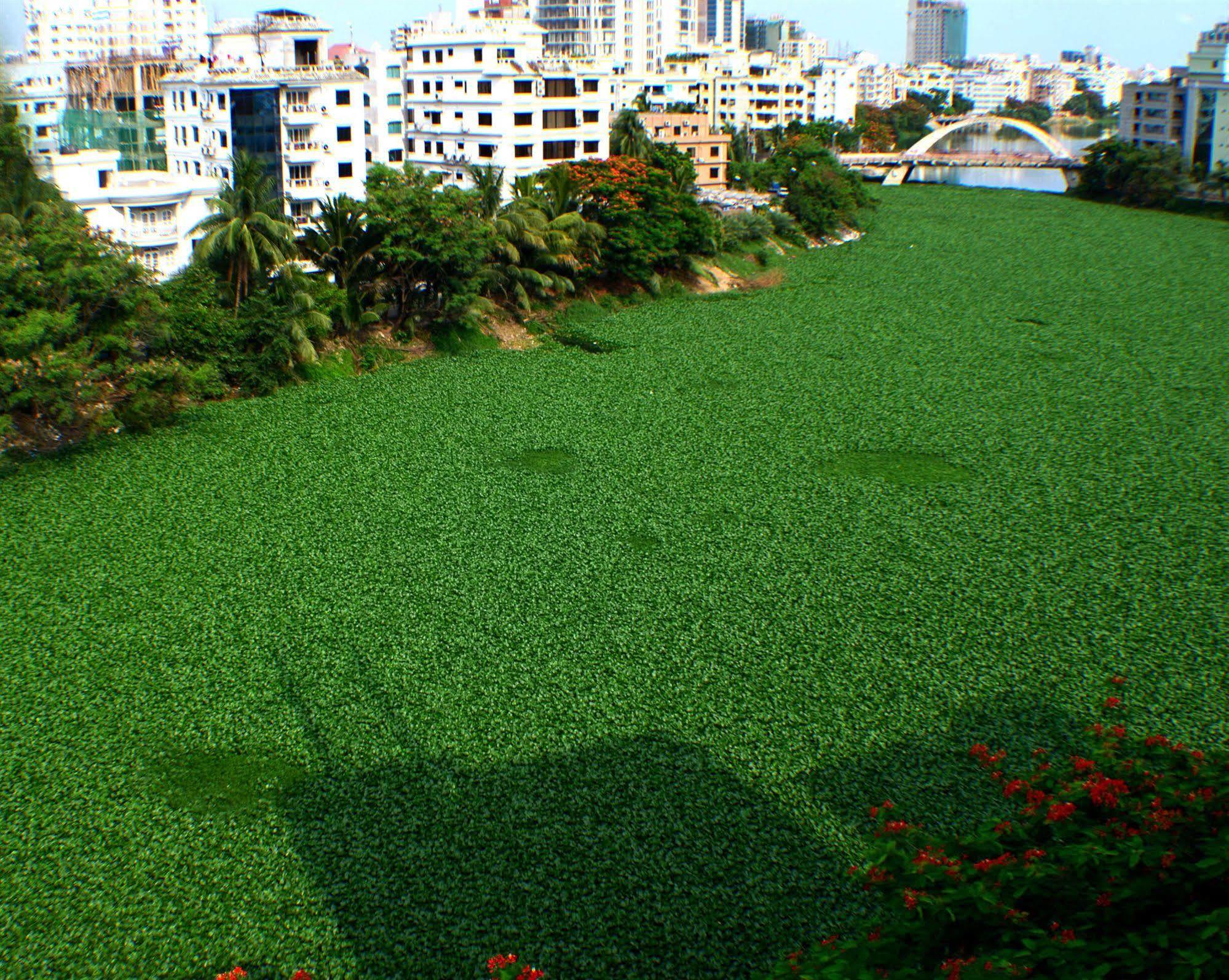 Hotel Amazon Lilly Residencia Dhaka Exterior foto